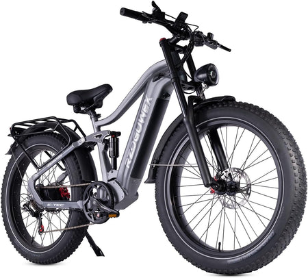 Electric Bicycle，26 Inch Off-Road EBIKE for Adults with 48V 25AH Detachable Lithium Ion Battery, 7 Speed with Dual Shock Absorbers and Dual Hydraulic Disc Brake(Black)